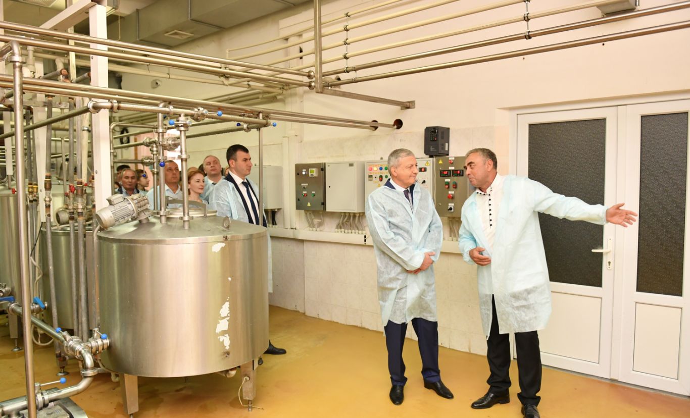 Программу развития молокоперерабатывающей отрасли разработают в Северной Осетии