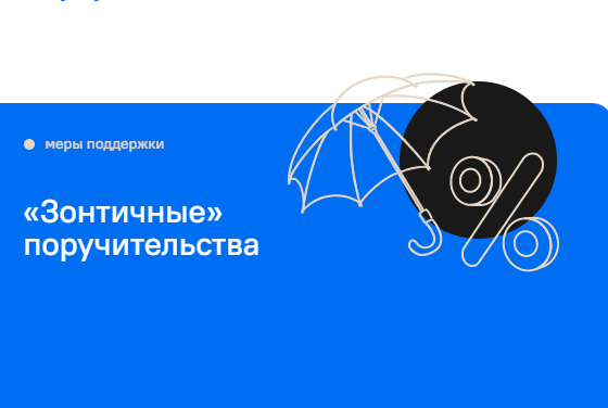 Не менее 120 млрд рублей смогут получить МСП под «зонтичные» поручительства в июле-сентябре 2024 года
